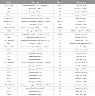 Advances in human glutamine-hydrolyzing synthetases and their therapeutic potential